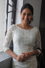 Panchi Bora attends Aakasame Haddu Movie Success Meet on 11th September 2011 (29).jpg