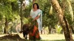 Swetha Menon in Rathinirvedam Movie Stills (2).jpg