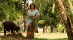 Swetha Menon in Rathinirvedam Movie Stills (4).jpg