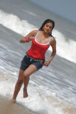 Priyamani In Sexy  Shoot on Beach (102).JPG