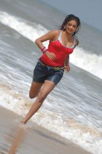 Priyamani In Sexy  Shoot on Beach (108).JPG