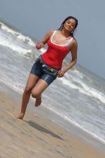 Priyamani In Sexy  Shoot on Beach (122).JPG