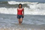 Priyamani In Sexy  Shoot on Beach (22).JPG