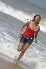 Priyamani In Sexy  Shoot on Beach (99).JPG