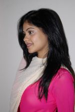 Bindu Madhavi in Pilla Zamindar Audio Release on 19th September 2011 (17).jpg