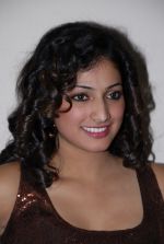 Haripriya in Pilla Zamindar Audio Release on 19th September 2011 (100).jpg