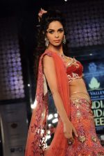 Mallika Sherawat walk the ramp for Anjalee and Arjun Kapoor Show at Amby Valley India Bridal Week day 1 on 24th Sept 2011 (11).JPG
