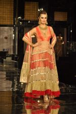 Model walk the ramp for Shane Falguni Show at Amby Valley India Bridal Week day 4 on 26th Sept 2011 (39).JPG