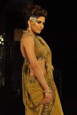 Model walk the ramp for Shane Falguni Show at Amby Valley India Bridal Week day 4 on 26th Sept 2011 (59).JPG