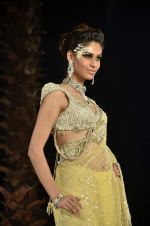 Model walk the ramp for Shane Falguni Show at Amby Valley India Bridal Week day 4 on 26th Sept 2011 (95).JPG