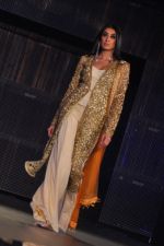 at Blenders Pride Fashion Tour 2011 Day 2 on 24th Sept 2011 (135).jpg