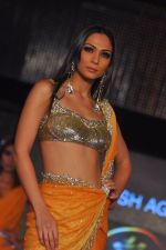 at Blenders Pride Fashion Tour 2011 Day 2 on 24th Sept 2011 (147).jpg