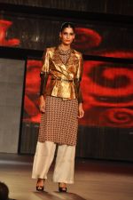 at Blenders Pride Fashion Tour 2011 Day 2 on 24th Sept 2011 (235).jpg