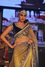 at Blenders Pride Fashion Tour 2011 Day 2 on 24th Sept 2011 (297).jpg