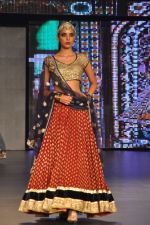 at Blenders Pride Fashion Tour 2011 Day 2 on 24th Sept 2011 (301).jpg