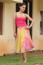 Bindu Madhavi in Pilla Zamindar Movie Stills (15).jpg