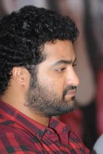 Junior NTR_s casual shoot at the Oosaravelli Movie Press Meet on October 4th 2011 (46).jpg
