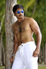 Gopichand in Mogudu Movie Stills (5).jpg