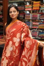 Anuhya at Sreeja Banaras Festival Launch on 12th October 2011 (44).JPG