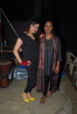 at Agnee concert in Bandra, Mumbai on 15th Oct 2011 (23).JPG