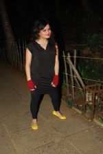 at Agnee concert in Bandra, Mumbai on 15th Oct 2011 (28).JPG