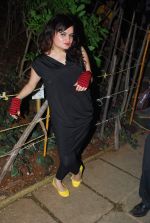 at Agnee concert in Bandra, Mumbai on 15th Oct 2011 (29).JPG