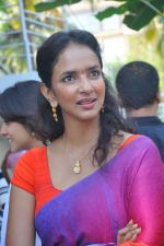 Lakshmi Prasanna attends Routine Love Story Movie Opening on 15th October 2011 (17).jpg