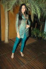 at Punjab International Fashion week promotional event in Sheesha Lounge on 23rd Oct 2011 (129).JPG
