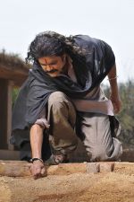 Nagarjuna in Rajanna Movie Stills (2).jpg