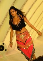 Priyamani in a song shoot (22).jpg