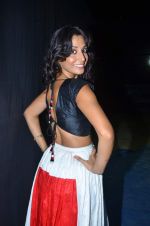 Monica Dogra at Rockstars concert in Bhavans Ground on 1st Nov 2011 (18).JPG