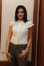 Nikitha Narayan in It's My Love Story Movie Pressmeet on 3rd November 2011 Nikitha Narayan in It_s My Love Story Movie Pressmeet on 3rd November 2011 (18).jpg