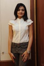 Nikitha Narayan in It's My Love Story Movie Pressmeet on 3rd November 2011 Nikitha Narayan in It_s My Love Story Movie Pressmeet on 3rd November 2011 (24).jpg