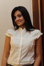 Nikitha Narayan in It_s My Love Story Movie Pressmeet on 3rd November 2011 (8).jpg