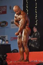at Mr Universe contest in Andheri Sports Complex on 6th Nov 2011 (12).JPG