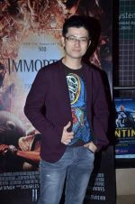 Meiyang Chang at Immortals film premiere in PVR, Mumbai on 10th Nov 2011 (14).JPG