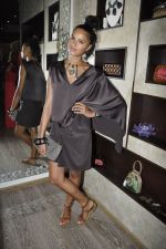 at Atosa fashion preview in Khar, Mumbai on 23rd Nov 2011 (7).JPG