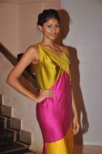 at Goa India Resort wear preview at fittings on 5th Dec 2011 (141).JPG