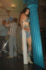Nikita Rawal_s item song for film Dharna Unlimited in Goregaon on 7th Dec 2011 (27).JPG