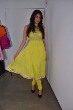 at Aarna Fashion exhibition in BMB Art Gallery on 9th Dec 2011 (160).JPG