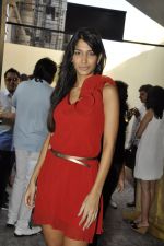at the launch of Ulysse Nardin watch in Four Seasons, Mumbai on 11th Dec 2011 (3).JPG