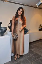 Nisha Jamwal at Point of View gallery group show in Colaba, Mumbai on 12th Dec 2011 (7).JPG