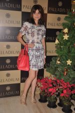 at Pre Xmas Lunch in Palladium, Mumbai on 12th Dec 2011 (18).JPG