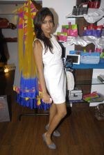 at new fashion store Ashtar by designers Saba Khan, Aaliya Khan and Neha Khanna in Mahalaxmi on 12th Dec 2011 (33).JPG