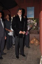 Amitabh Bachchan at The Dirty Picture Success Bash in Aurus, Mumbai on 14th Dec 2011 (7).JPG