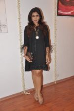 Nisha Jamwal at Lavina Hansraj furnishing launch in Mumbai on 18th Dec 2011 (22).JPG