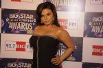 Rakhi Sawant at BIG star awards 2011 in Bhavans, Mumbai on 18th Dec 2011 (59).JPG