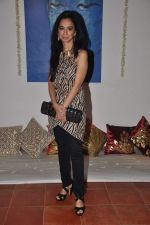 at Lavina Hansraj furnishing launch in Mumbai on 18th Dec 2011 (1).JPG