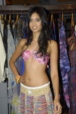 at Kavita Bhartia_s metalwork launch and Divya Mohta_s resort wear collection in Ogaan on 20th Dec 2011 (15).JPG