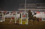 at Amateur Riders Clubs finals in Mahalaxmi Race Course on 21st Dec 2011 (23).JPG